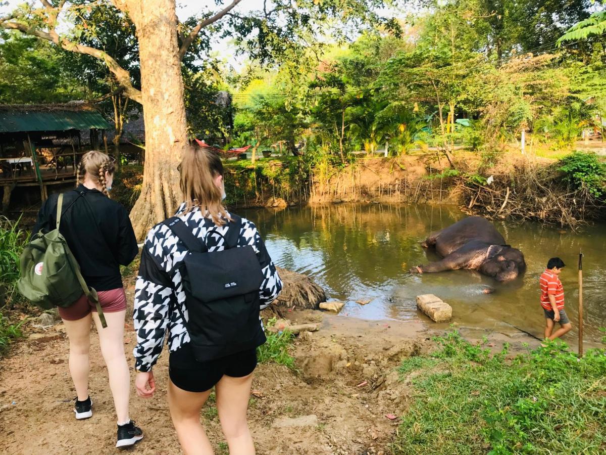 Dambulla Tourist Resort Bagian luar foto